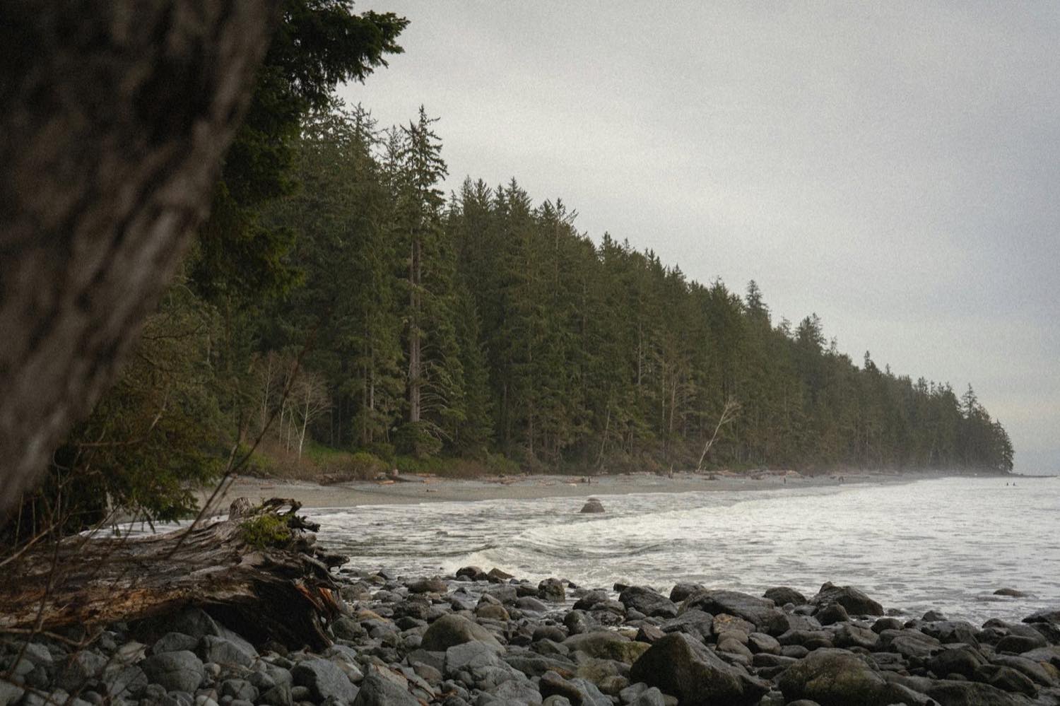 Rocky north-coast beach with conifer forest under an overcast sky
